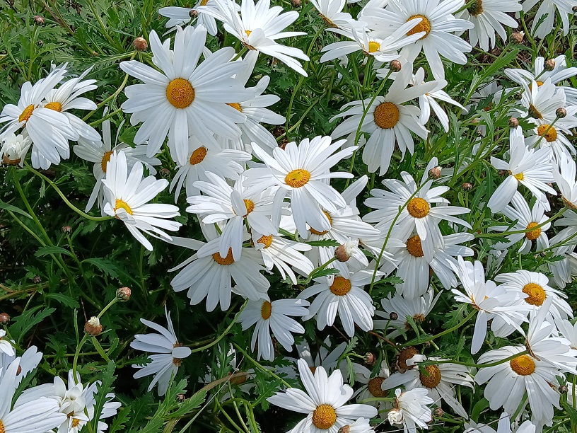 No s'ha trobat l'arxiu